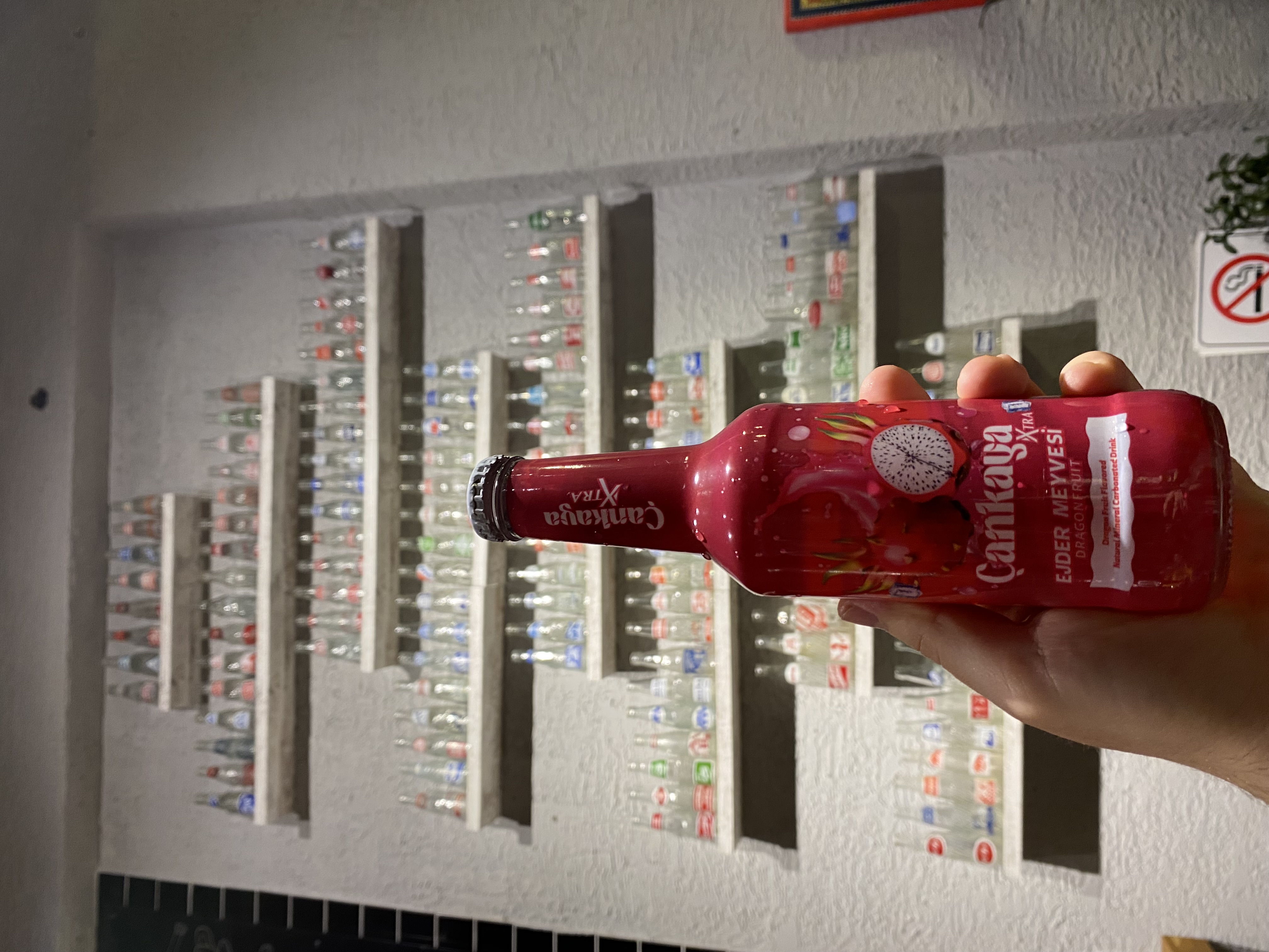 Çankaya Ejder Meyvesi