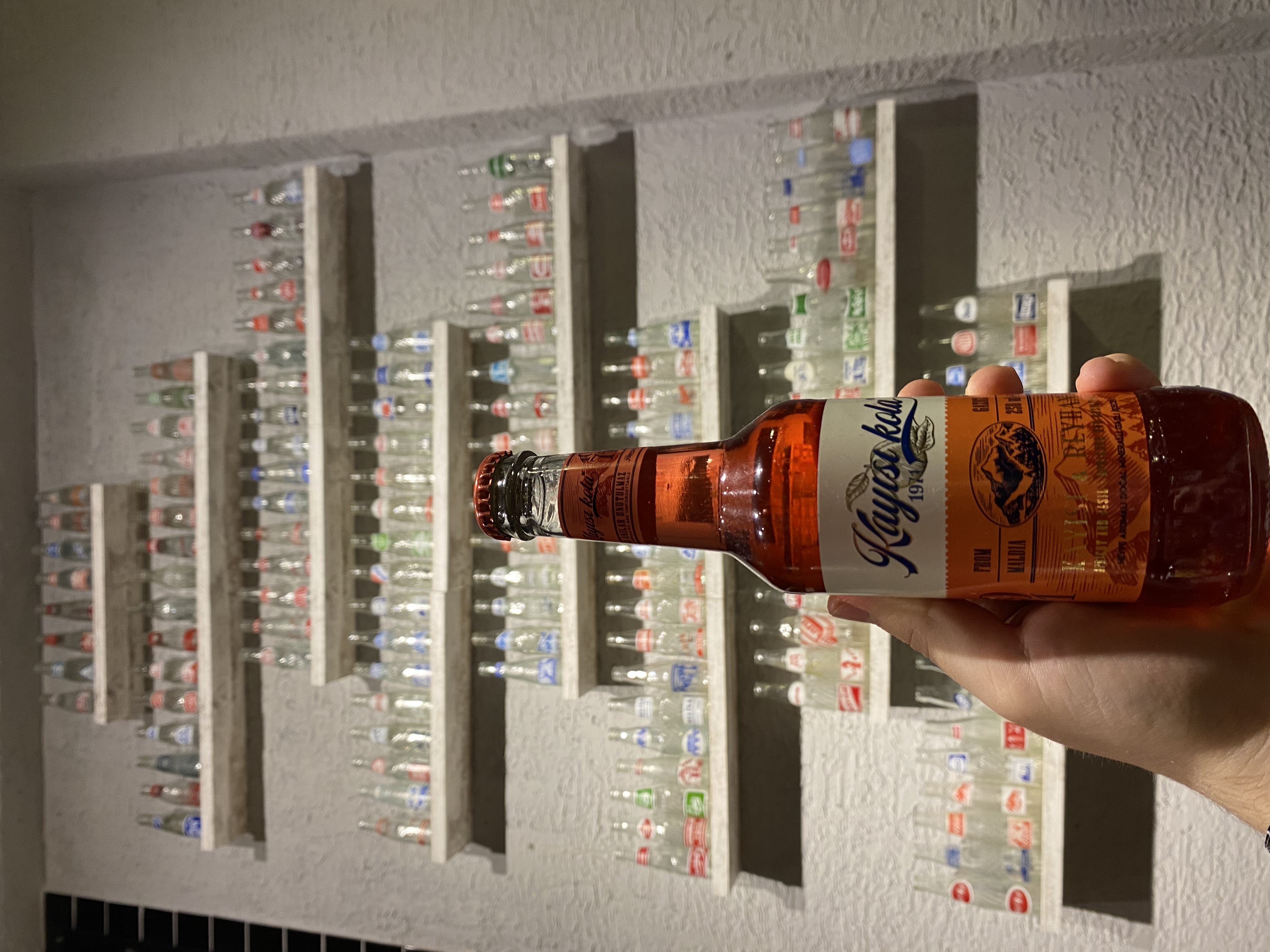 Kayısı Kola Reyhan Kayısı