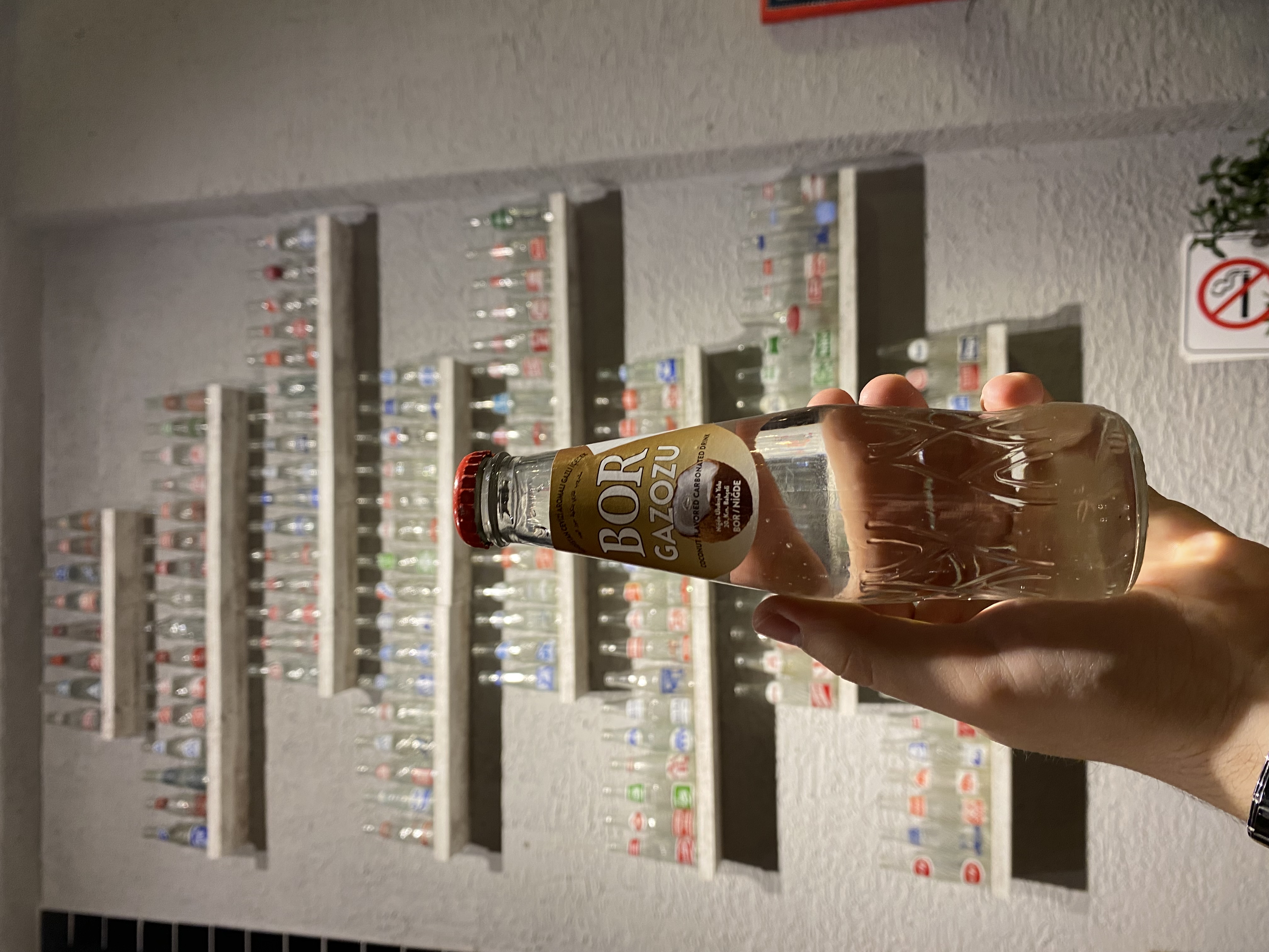 Bor Hindistan Cevizi