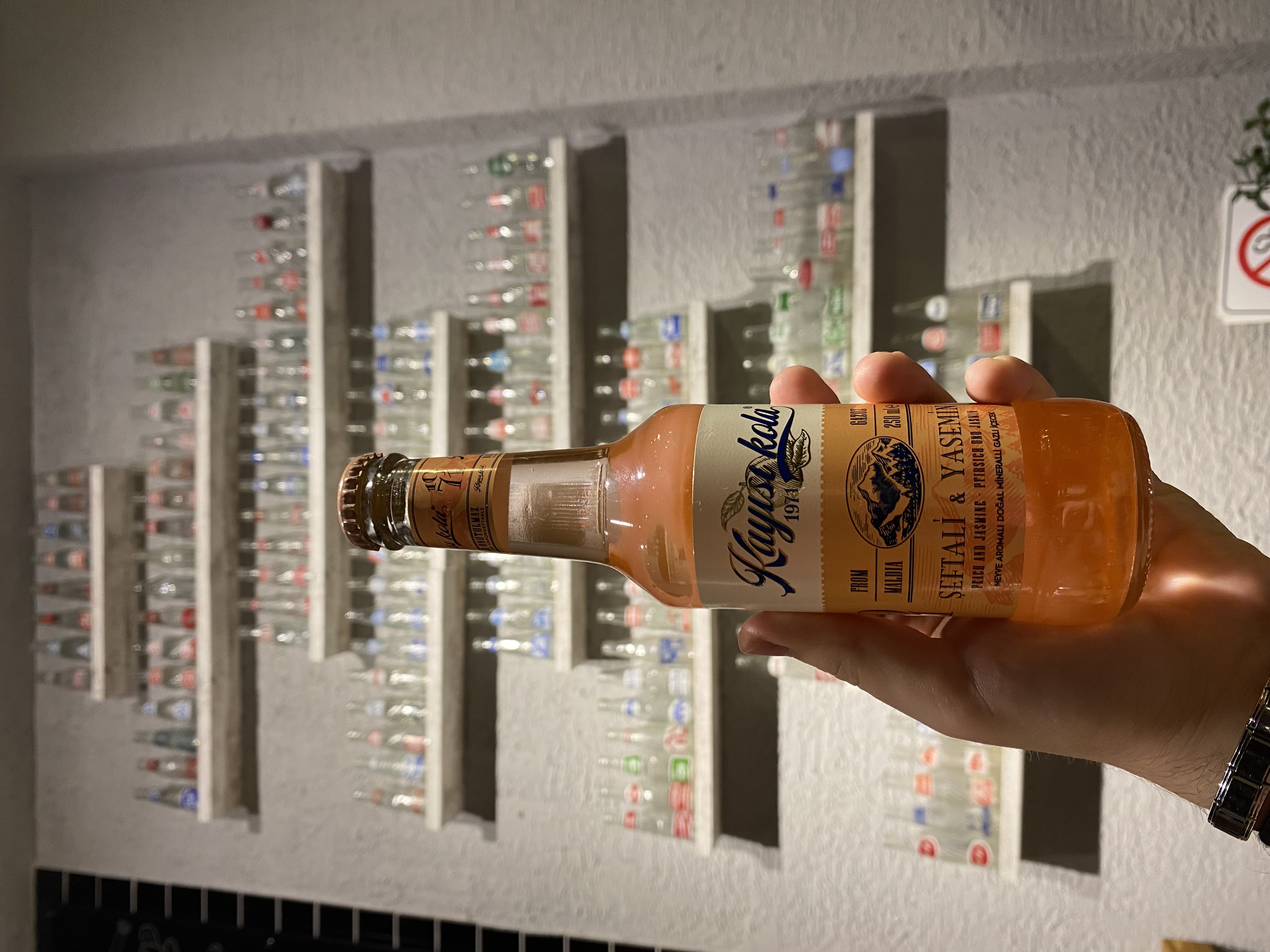 Kayısı Kola Şeftali Yasemin