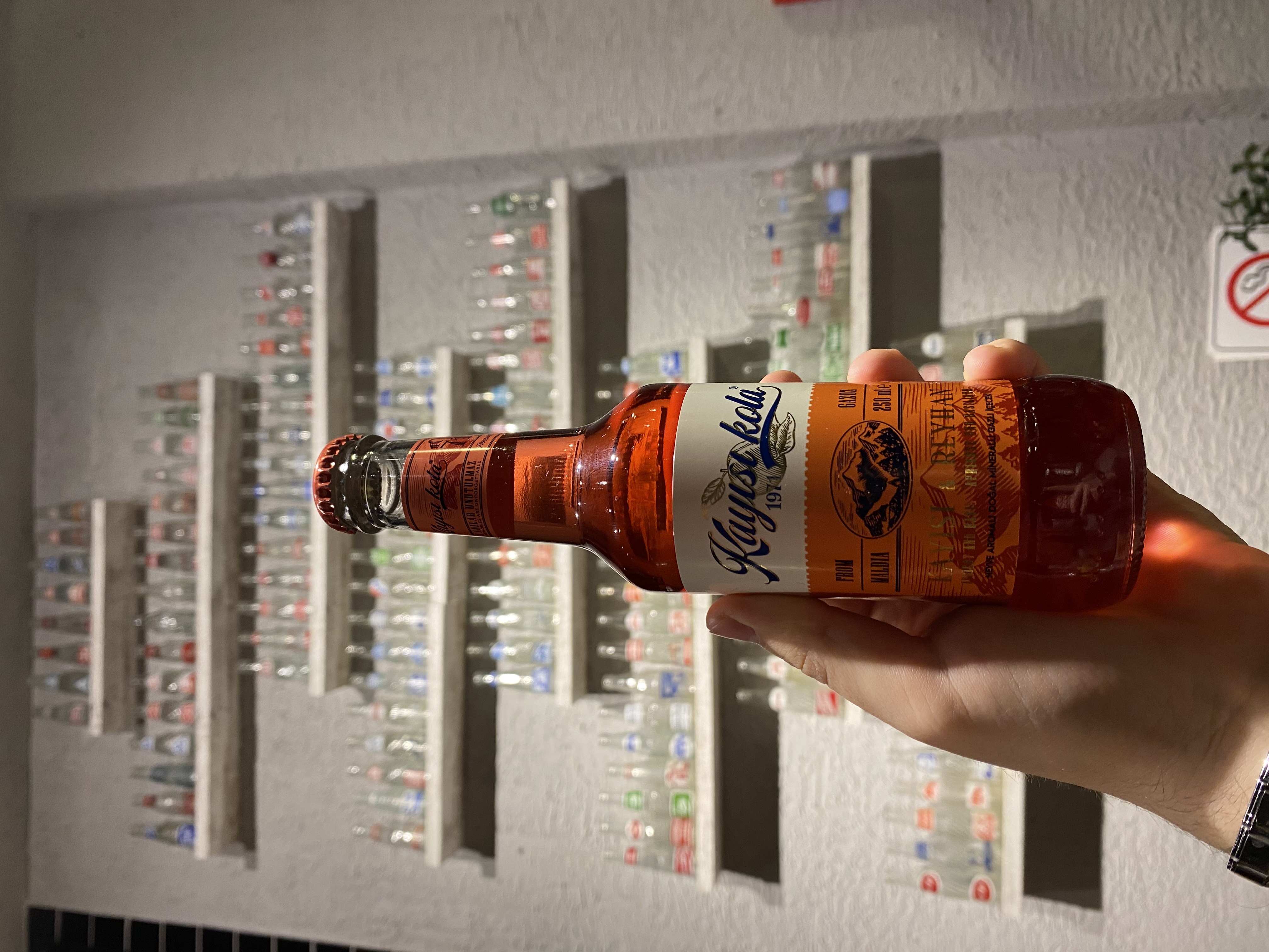 Kayısı Kola Kayısı Reyhan