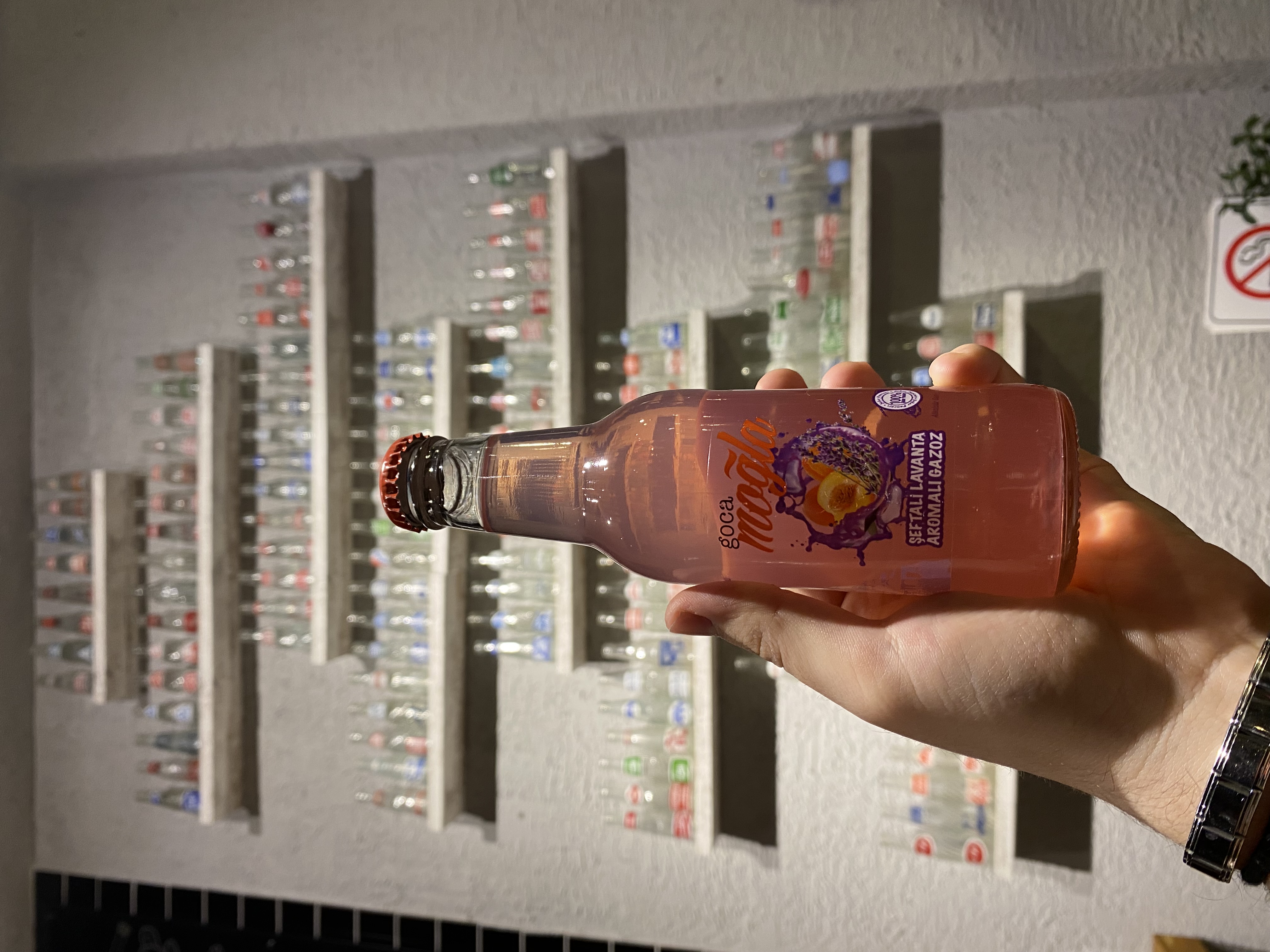 Goca Muğla Şeftali Lavanta